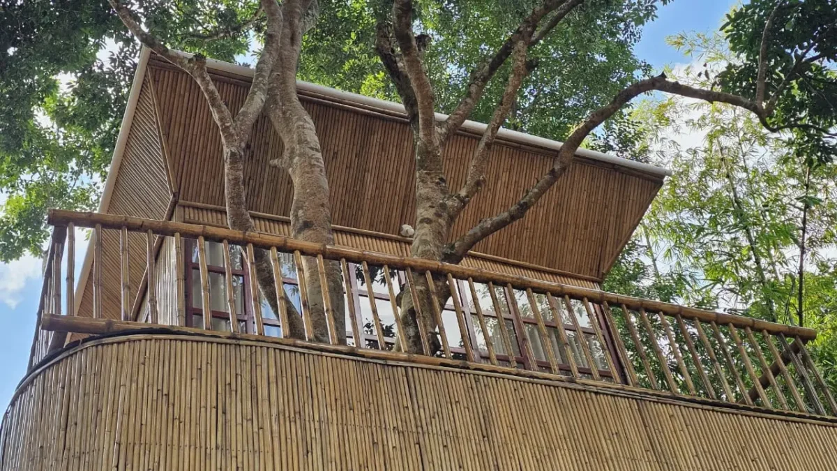 Chandra Snan